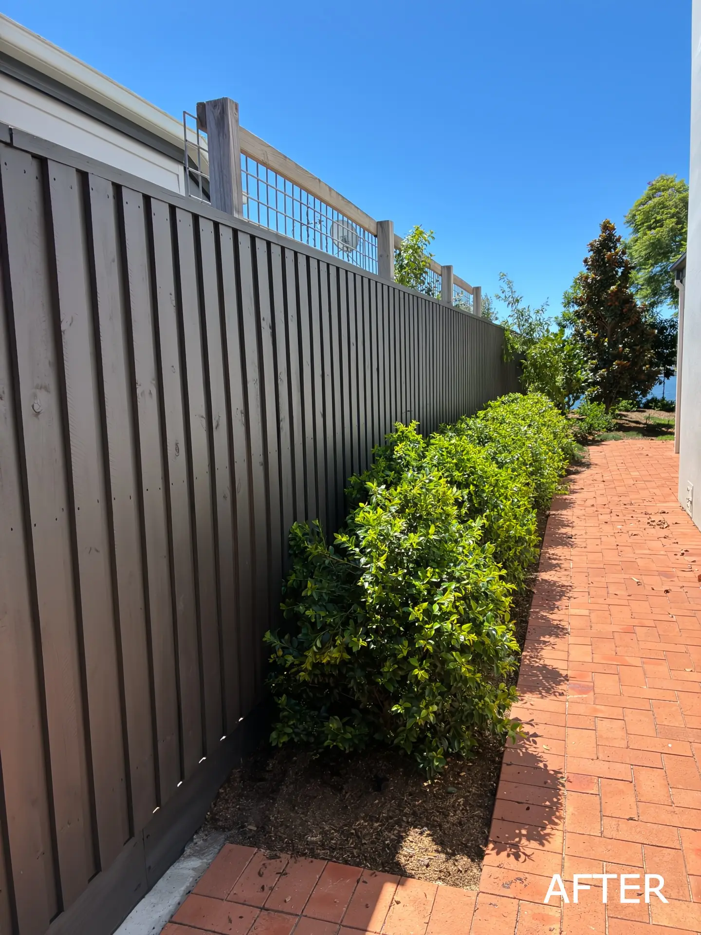 Fence Painting Sunshine Coast